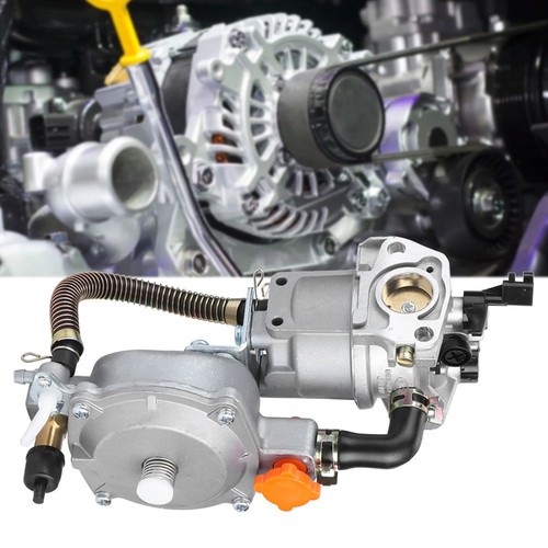 Dual fuel carburetor - lpg, ng