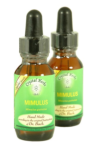 25ml genuine bach flower - bach,