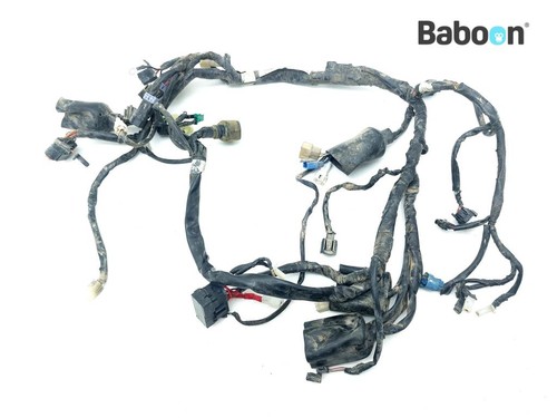 Wiring harness yamaha - wiring, (main)