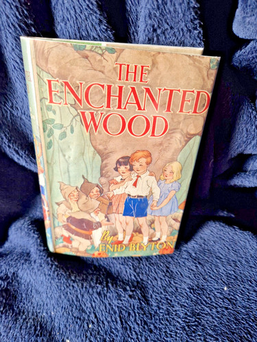 The enchanted wood - the, enid