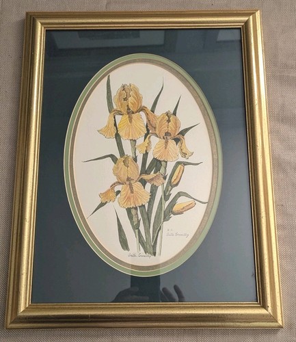Anita connelly signed - anita,