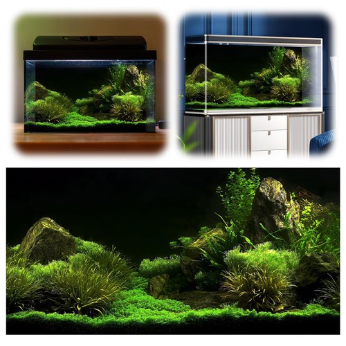 Unikeen fish tank background - tank,