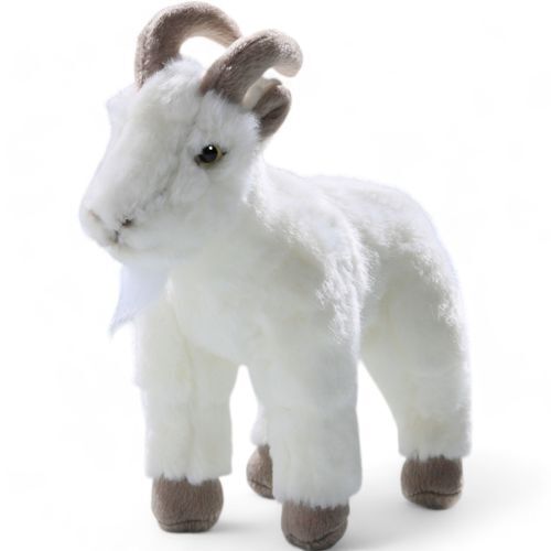 Goat white approx cm - goat, 22
