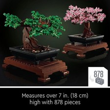 Bonsai tree botanical - bonsai,