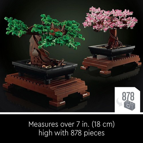 Bonsai tree botanical - bonsai,