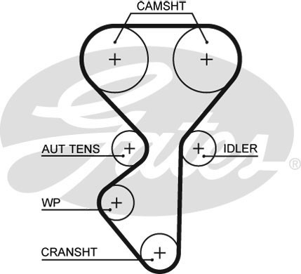 New timing belt - belt, for