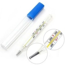 Traditional Glass Thermometer