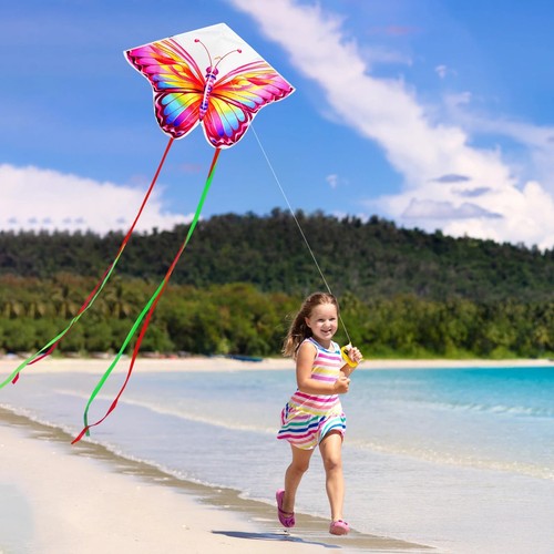 Beautiful butterfly kite with - beautiful,