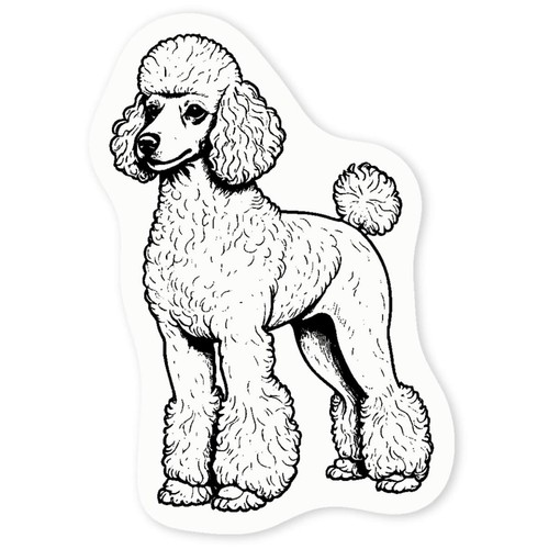 Standard poodle clear - 'standard,
