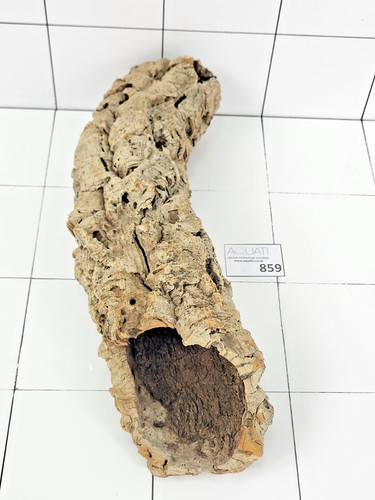 Natural cork bark tube wood - cork,