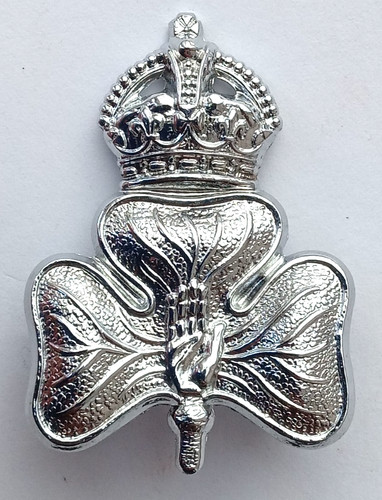 Royal irish rifles 14th - rifles,