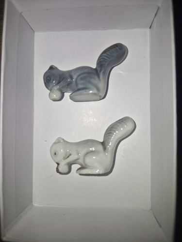 Pair wade squirrels in - of,