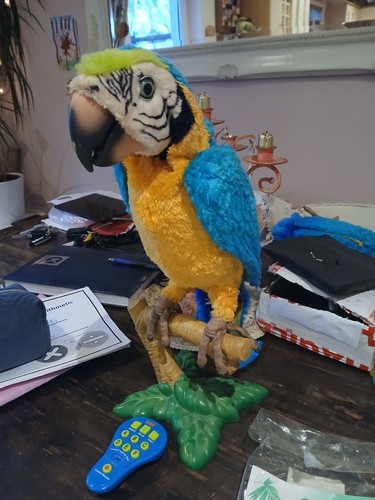 Furreal friend squawkers mccaw - furreal,