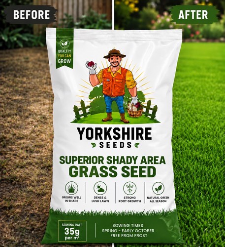 Superior shady area - grass, seed