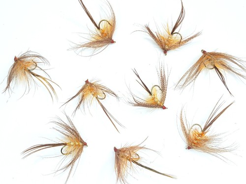 Golden olive dabbler mayfly - olive,