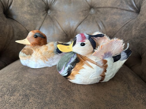 Authentic vintage feathered - vintage,