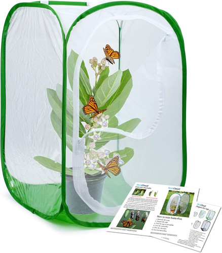 Professional butterfly habitat - professional,