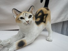 Cats Collection Stretching Cat