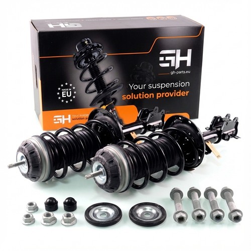 Gas complete struts - complete,