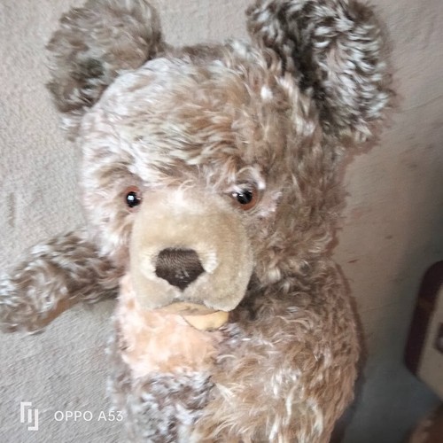 Superb old bear steiff - old,