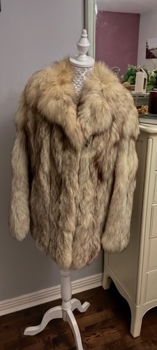 Stunning silver artic fox - silver,
