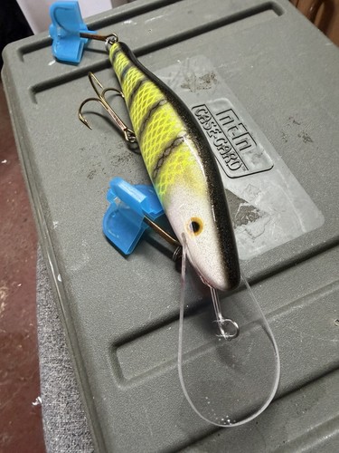 Legend perchbait lure