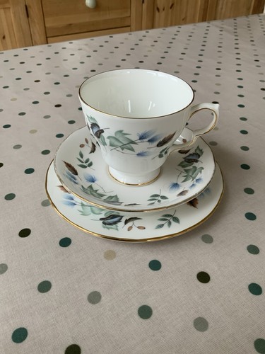 Colclough vintage bone - colclough, china