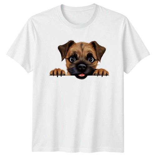 Border terrier peekaboo - border,