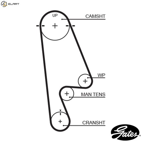 Timing belt 5480xs for honda - 5480xs,