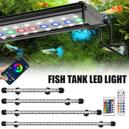 Aquarium fish tank led - aquarium,