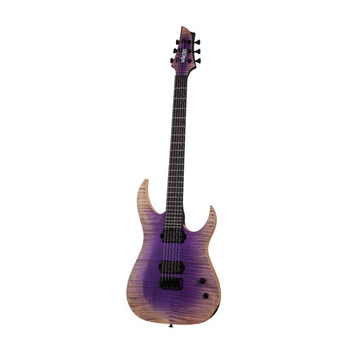 Schecter john browne - john, tao