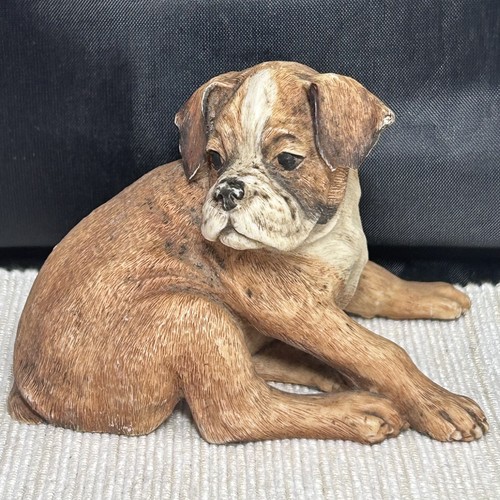Vintage 1999 boxer pup - pup, border