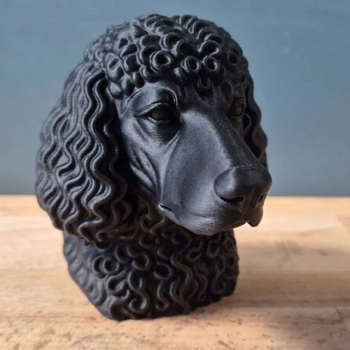Irish water spaniel - water,