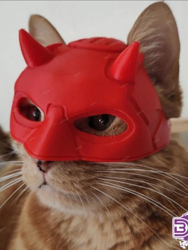Dare devil cat pet - devil,