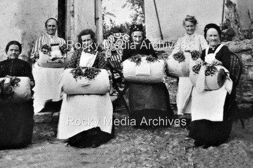 Oyy social history lace - oyy-45,