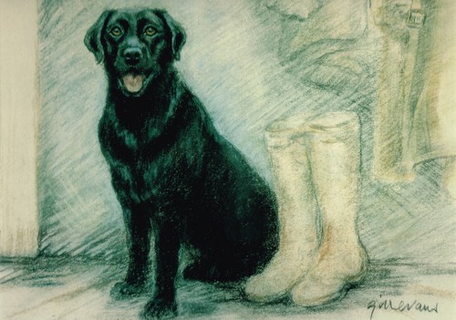 Black labrador print - labrador,