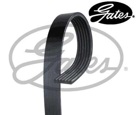 Ribbed belt fits vw passat - v-ribbed,