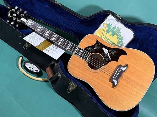 Gibson dove an - gibson,