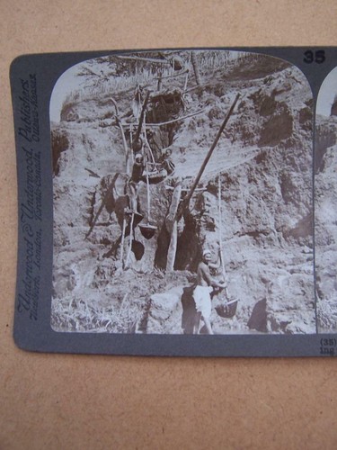 Stereoscopic stereo view - stereoscopic, stereo-view
