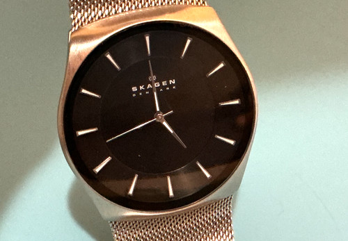 Skagen skw6019 men - skagen,