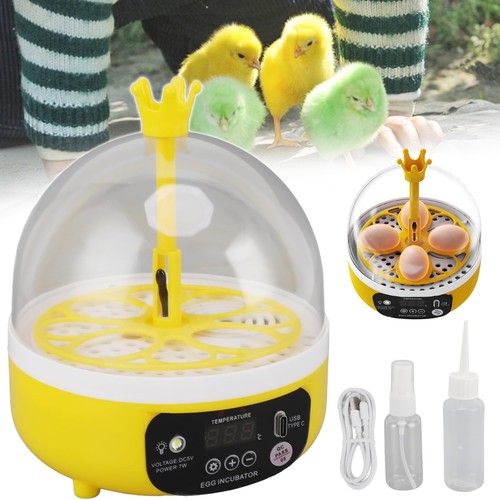 Egg incubator mini electric - egg,