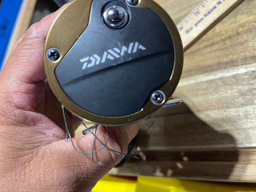 Daiwa sealine 47lc fishing - daiwa,