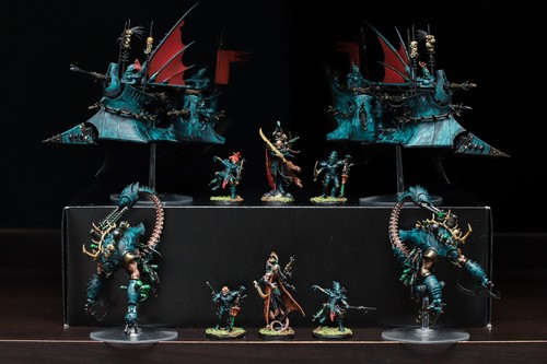 Drukhari pro painted army - drukhari,