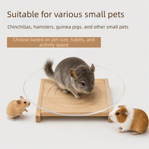 Chinchilla running plate - chinchilla,
