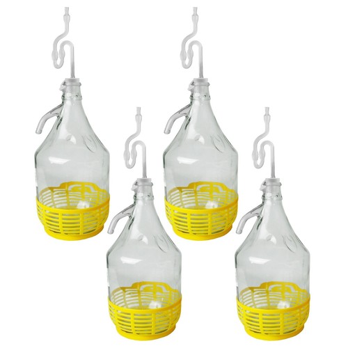 Pack glass demijohns for - pack, of