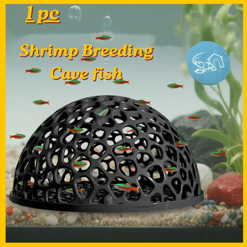 Shrimp breeding cave fish - shrimp, tank