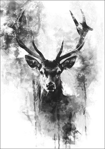 Cool black white stag - cool,