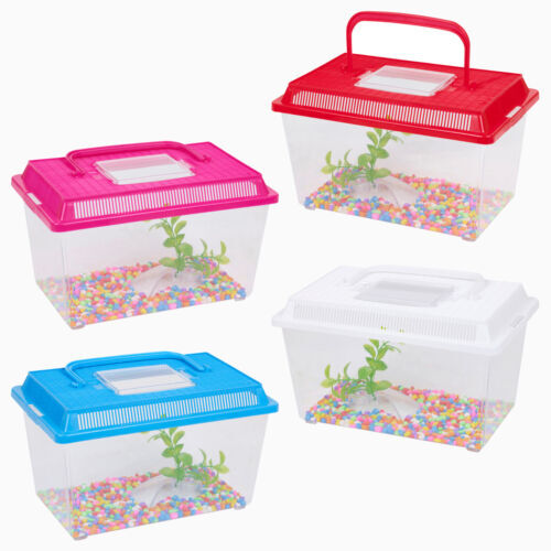 Plastic aquarium fish tank - aquarium,