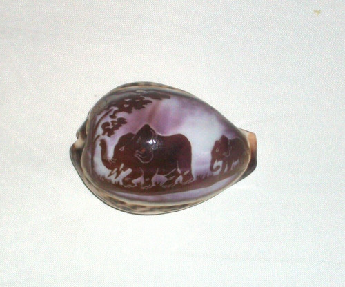 Hand carved vintage cowrie sea - hand,