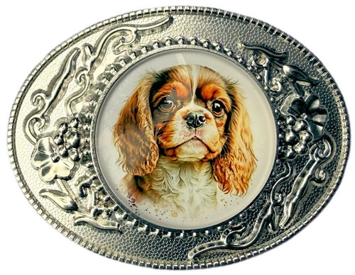 Cavalier king charles - cavalier,